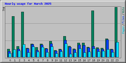 Hourly usage for March 2025