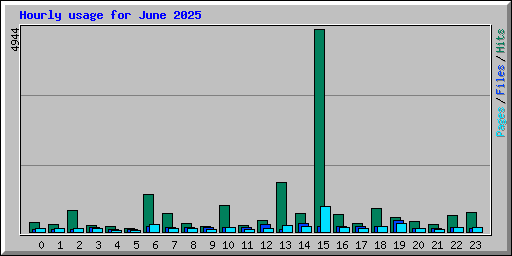 Hourly usage for June 2025
