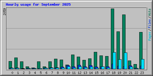 Hourly usage for September 2025