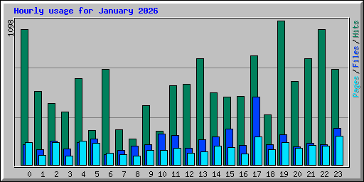 Hourly usage for January 2026