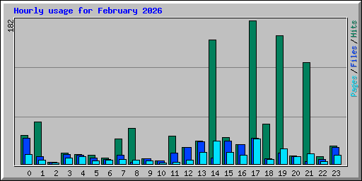 Hourly usage for February 2026