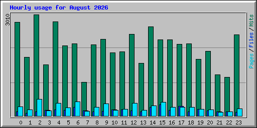 Hourly usage for August 2026