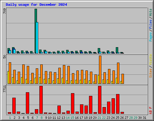 Daily usage for December 2024