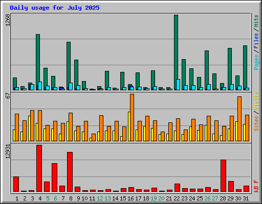 Daily usage for July 2025
