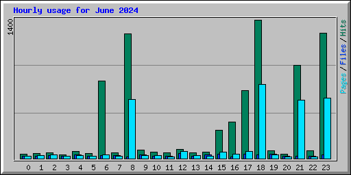 Hourly usage for June 2024