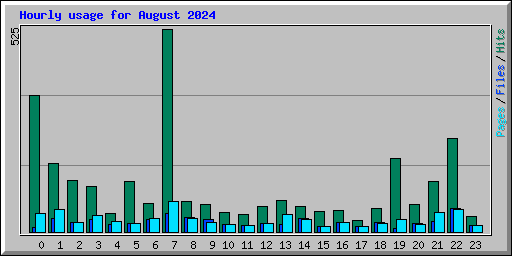 Hourly usage for August 2024