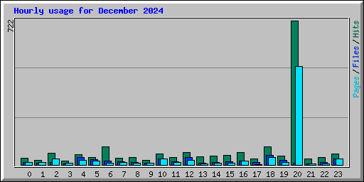 Hourly usage for December 2024