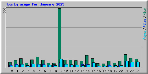 Hourly usage for January 2025