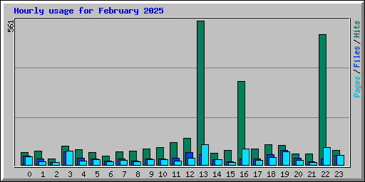 Hourly usage for February 2025