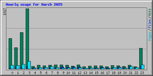 Hourly usage for March 2025