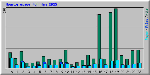 Hourly usage for May 2025