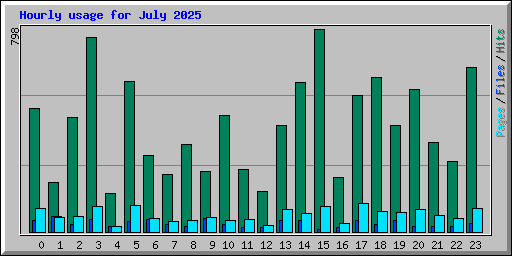 Hourly usage for July 2025