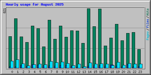 Hourly usage for August 2025