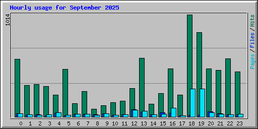 Hourly usage for September 2025