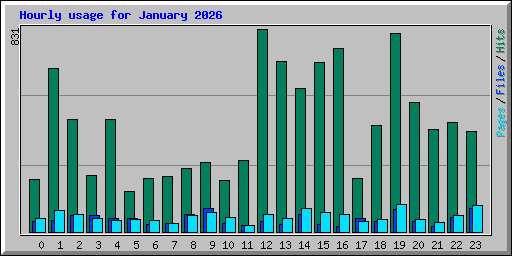 Hourly usage for January 2026