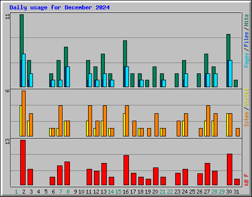 Daily usage for December 2024