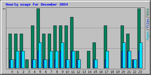 Hourly usage for December 2024