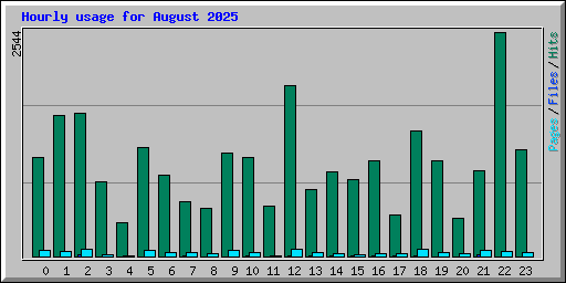 Hourly usage for August 2025