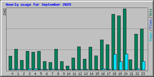 Hourly usage for September 2025