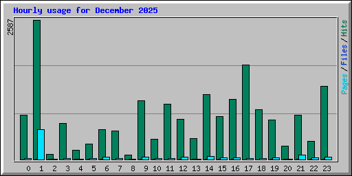 Hourly usage for December 2025