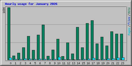 Hourly usage for January 2026