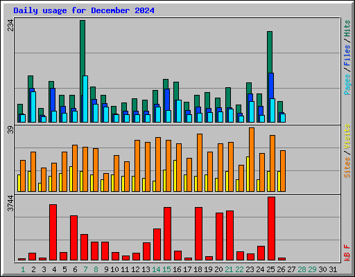 Daily usage for December 2024