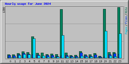 Hourly usage for June 2024