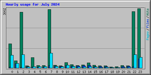 Hourly usage for July 2024