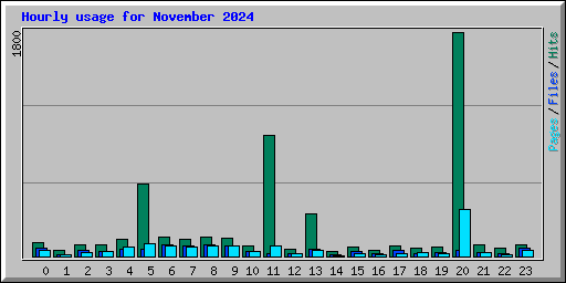 Hourly usage for November 2024