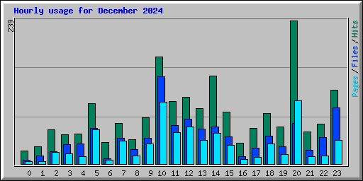 Hourly usage for December 2024