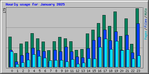 Hourly usage for January 2025