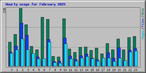 Hourly usage for February 2025