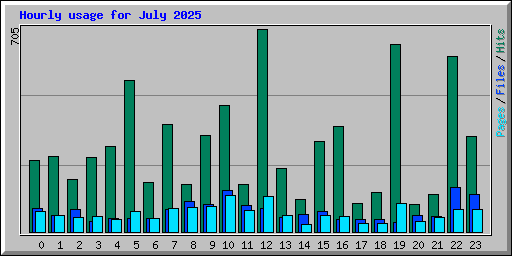 Hourly usage for July 2025