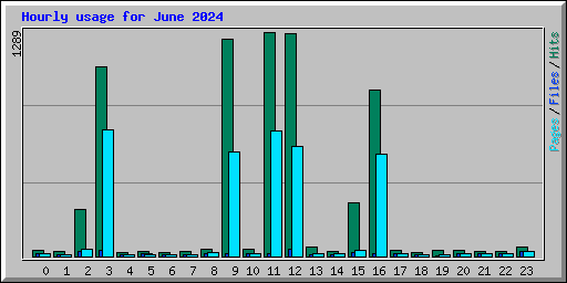 Hourly usage for June 2024