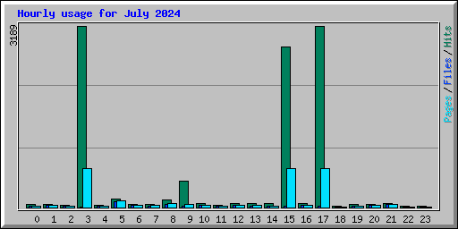 Hourly usage for July 2024