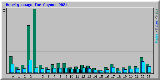 Hourly usage for August 2024