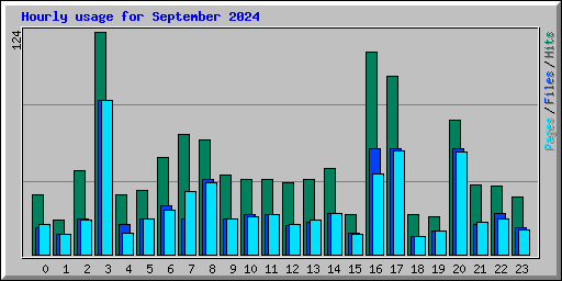 Hourly usage for September 2024