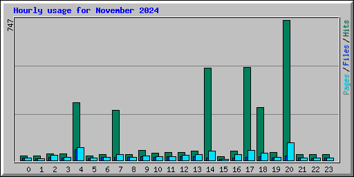 Hourly usage for November 2024