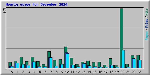 Hourly usage for December 2024