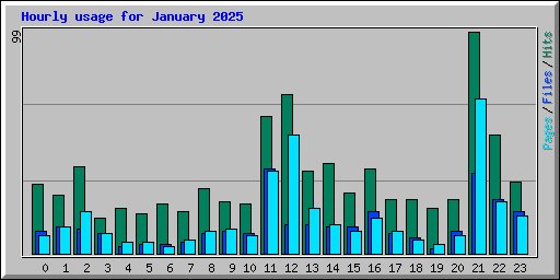Hourly usage for January 2025