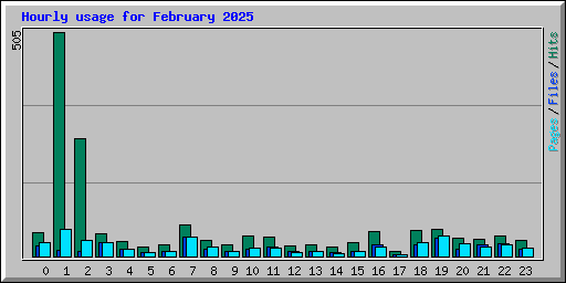Hourly usage for February 2025