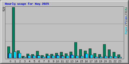 Hourly usage for May 2025
