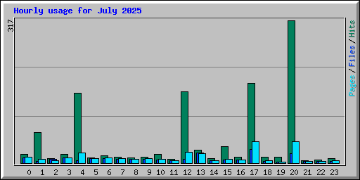 Hourly usage for July 2025