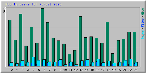 Hourly usage for August 2025