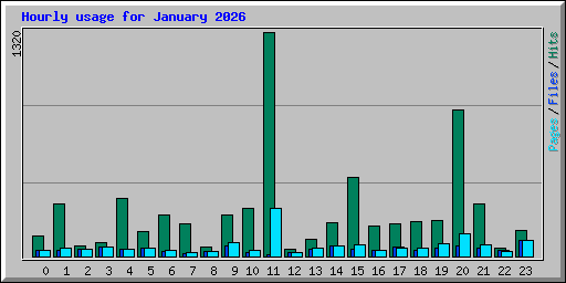 Hourly usage for January 2026