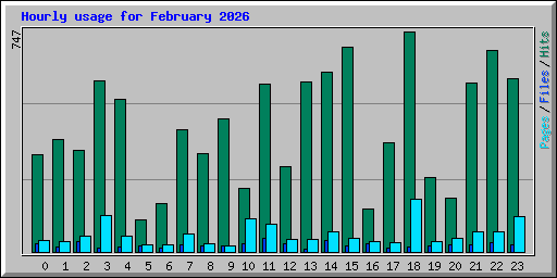 Hourly usage for February 2026