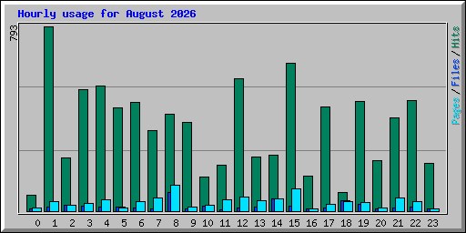 Hourly usage for August 2026