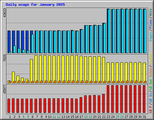 Daily usage for January 2025