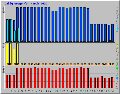 Daily usage for March 2025