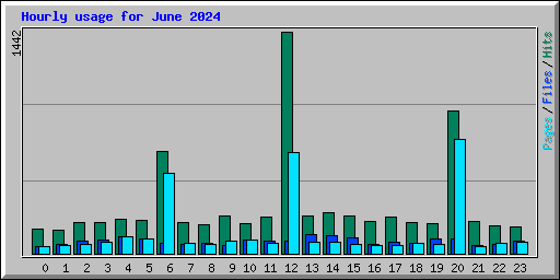 Hourly usage for June 2024